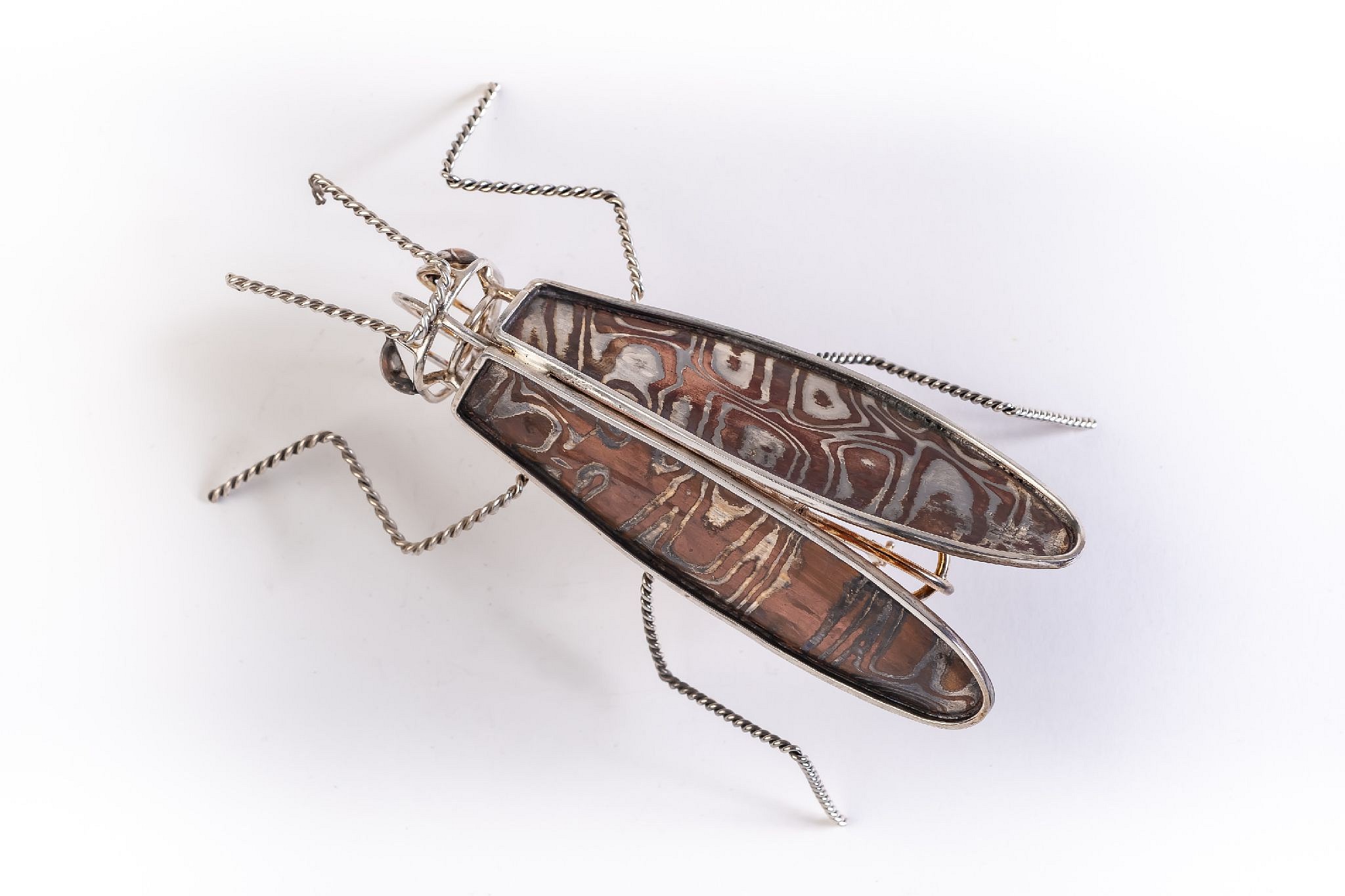 PRESS RELEASE: OUR SECRET WORLD OF INSECTS, May  7 - Jun 30, 2021