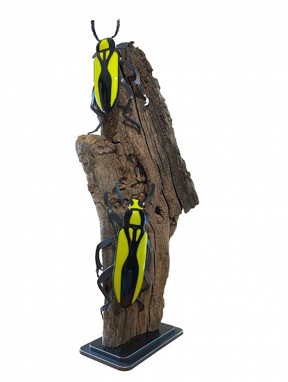 Tracey Bewley, THE RACE IS ON, 2021
Fused Glass, Steel, Driftwood, 8 x 17 x 8 in. (20.3 x 43.2 x 20.3 cm)
BEWL007